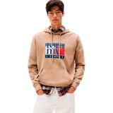 Tommy Hilfiger Kapüşonlu Logolu Sweatshirt, S, DM0DM22092, Bej, erkek