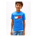 Tommy Hilfiger Mavi Erkek Çocuk Baskılı T-Shirt KB0KB10275C6H