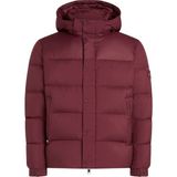 Tommy Hilfiger Mor Erkek Mont MW0MW36569VLP - S