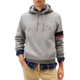 Tommy Hilfiger Pamuklu Regular Fit Kapüşonlu Sweat Erkek SWEAT MW0MW40479 P91