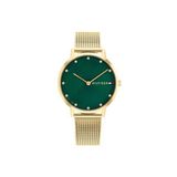 Tommy Hilfiger Th1782668 Kadın Kol Saati Gold-Yeşil