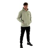 Tommy Hilfiger tjm rlx signature hoodie ext Erkek Sweatshirt faded willow XS