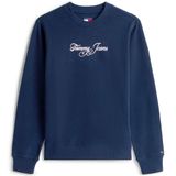 TOMMY HILFIGER TJW REG ESS LOGO 1 CREW EXT Kadın Sweatshirt, Dark Night Navy, XS