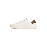 Tommy Hilfiger TJW SCRIPT CUPSOLE Kadın Spor Ayakkabı, Ivory/Legacy Brown, 37