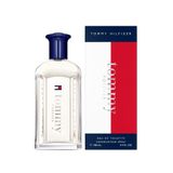Tommy Hilfiger Tommy Forever EDT 100 ml Erkek Parfümü