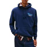 Tommy Jeans% 100 Pamuk Logolu Regular Fit Kapüşonlu Sweat Erkek SWEAT DM0DM22086 C1G