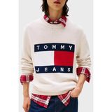 Tommy Jeans % 100 Pamuk Regular Fit Bisiklet Yaka Logolu Kazak Erkek Kazak DM0DM22105 Afn - Bej