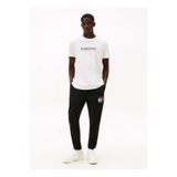 Tommy Jeans Siyah Erkek Eşofman Altı DM0DM22094BDS TJM SLIM RWB FLAG SWE