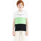 Tommy Life 11135 Siyah Renk Bloklu O Yaka Baskı Detaylı Standart Kalıp Erkek Çocuk T-Shirt