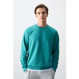 Tommy Life 88363 Deniz Yeşili Pamuk Dokulu Standart Fit Basic Erkek Sweatshirt