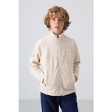 TOMMY LIFE Bej Kalın Yumuşak Dokulu Standart Fit Nakışlı Polar Erkek Çocuk Sweatshirt - 11223