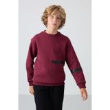 TOMMY LIFE Erguvan Pamuklu Kalın Içi Tüylü Yumuşak Dokulu Standart Fit Baskılı Erkek Çocuk Sweatshirt - 11238