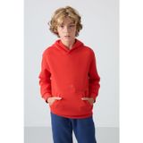 TOMMY LIFE Fiesta Pamuklu Kalın Içi Tüylü Yumuşak Dokulu Standart Fit Baskılı Erkek Çocuk Sweatshirt - 11215