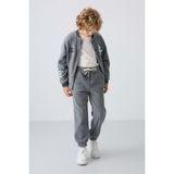 Tommy Life Gri Melanj Kalın Yumuşak Dokulu Standart Fit Nakışlı Polar Erkek Çocuk Eşofman Alt - 11220 - 10 - 11 Yaş - Gb Melanj