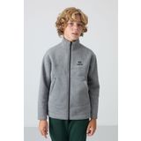 TOMMY LIFE Gri Melanj Pamuklu Kalın İçi Tüylü Standart Fit Nakışlı Erkek Çocuk Sweatshirt - 11245