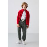 Tommy Life Haki Kalın Yumuşak Dokulu Standart Fit Nakışlı Polar Erkek Çocuk Eşofman Alt - 11220 - 7 - 8 Yaş