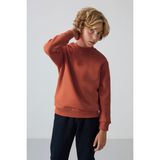 Tommy Life Kiremit Pamuklu Kalın Içi Tüylü Yumuşak Dokulu Standart Fit Nakışlı Erkek Çocuk sweatshirt - 11232