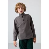 Tommy Life Koyu Gri Kalın Yumuşak Dokulu Standart Fit Nakışlı Polar Erkek Çocuk Sweatshirt - 11221