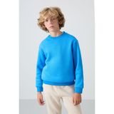 Tommy Life Saks Pamuklu Kalın İçi Tüylü Yumuşak Dokulu Standart Fit Nakışlı Erkek Çocuk Sweatshirt - 11232