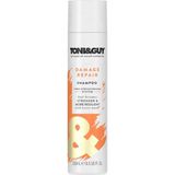 Toni&Guy Yıpranmış Saçlar İçin Arındırıcı Şampuan 250 ml Standart İçerik Kadın Kullanıcılar İçin
