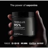 Toniiq Tribulus Terrestris For Men – Ultra High Potency 25:1 Extract With 95% Saponins - 1300MG Pure 120 Capsules