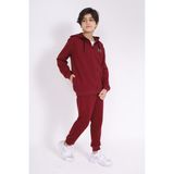 Toontoy Erkek Çocuk 2'li Takım Baskılı Kapüşonlu Fermuarlı Sweatshirt & Beli Paçası Lastikli Cepli Jogger Eşofman Altı - 2 Iplik - Bordo - 10 - 11 Yaş
