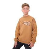 TOONTOY Erkek Çocuk Baskılı Sweatshirt, 12-13 Yaş, 24316, Kahverengi, erkek-çocuk