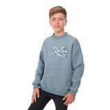 TOONTOY Erkek Çocuk Baskılı Sweatshirt, 8-9 Yaş, 24316, Mavi, erkek-çocuk