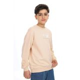 Toontoy Erkek Çocuk Baskılı Sweatshirt Bej 6-7 YAŞ