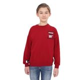 Toontoy Erkek Çocuk Baskılı Sweatshirt Bordo 12-13 YAŞ