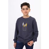 Toontoy Erkek Çocuk Baskılı Sweatshirt Füme 8-9 YAŞ