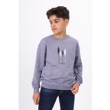 Toontoy Erkek Çocuk Baskılı Sweatshirt Koyu Gri 6-7 YAŞ