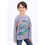 Toontoy Erkek Çocuk Baskılı Tişört Gri