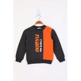 TOONTOY Erkek Çocuk Garnili Sweatshirt, Antrasit Melanj, 4 Yaş