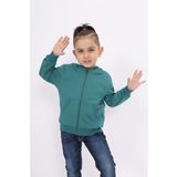 Toontoy Erkek Çocuk Hırka