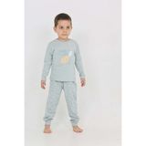 Toontoy Erkek Çocuk Kaplumbağa Baskılı Pijama Takım - Yeşil - 5 Yaş