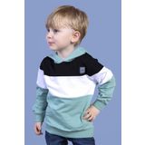 Toontoy Erkek Çocuk Kapüşonlu Garni Detaylı Sweatshirt