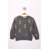 Toontoy Erkek Çocuk Köpek Baskılı Sweatshirt Antrasit Melanj 4 YAŞ