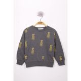 Toontoy Erkek Çocuk Köpek Baskılı Sweatshirt Antrasit Melanj 6 YAŞ