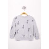 Toontoy Erkek Çocuk Köpek Baskılı Sweatshirt Gri Melanj 4 YAŞ