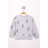 Toontoy Erkek Çocuk Köpek Baskılı Sweatshirt Gri Melanj 5 YAŞ