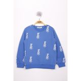 TOONTOY Erkek Çocuk Lacivert Köpek Baskılı Sweatshirt, 4 Yaş, 13499-, Saks, erkek-çocuk