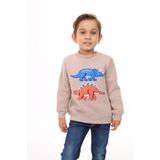 Toontoy Erkek Çocuk Nakışlı Sweatshirt Bej 2 YAŞ