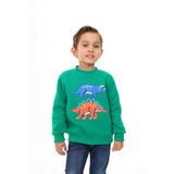 Toontoy Erkek Çocuk Nakışlı Sweatshirt Çimen Yeşili 2 YAŞ