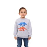 Toontoy Erkek Çocuk Nakışlı Sweatshirt Gri Melanj 5 YAŞ