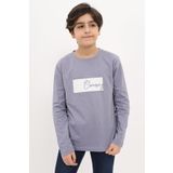 Toontoy Erkek Çocuk Nakışlı Tişört Gri 6-7 YAŞ