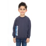 Toontoy Erkek Çocuk Ön ve Arka Baskılı Sweatshirt Füme 4 YAŞ