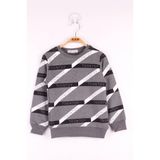 TOONTOY Erkek Çocuk Şeritli Sweatshirt Antrasit Melanj, 3 Yaş, 13542-, Antrasit Melanj, erkek-çocuk