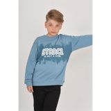 Toontoy Erkek Çocuk Stance Baskılı Sweatshirt Mavi