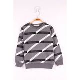 Toontoy Erkek Çocuk Toontoy Şeritli Sweatshirt